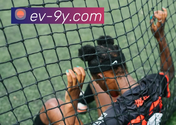 多媒体互动体验